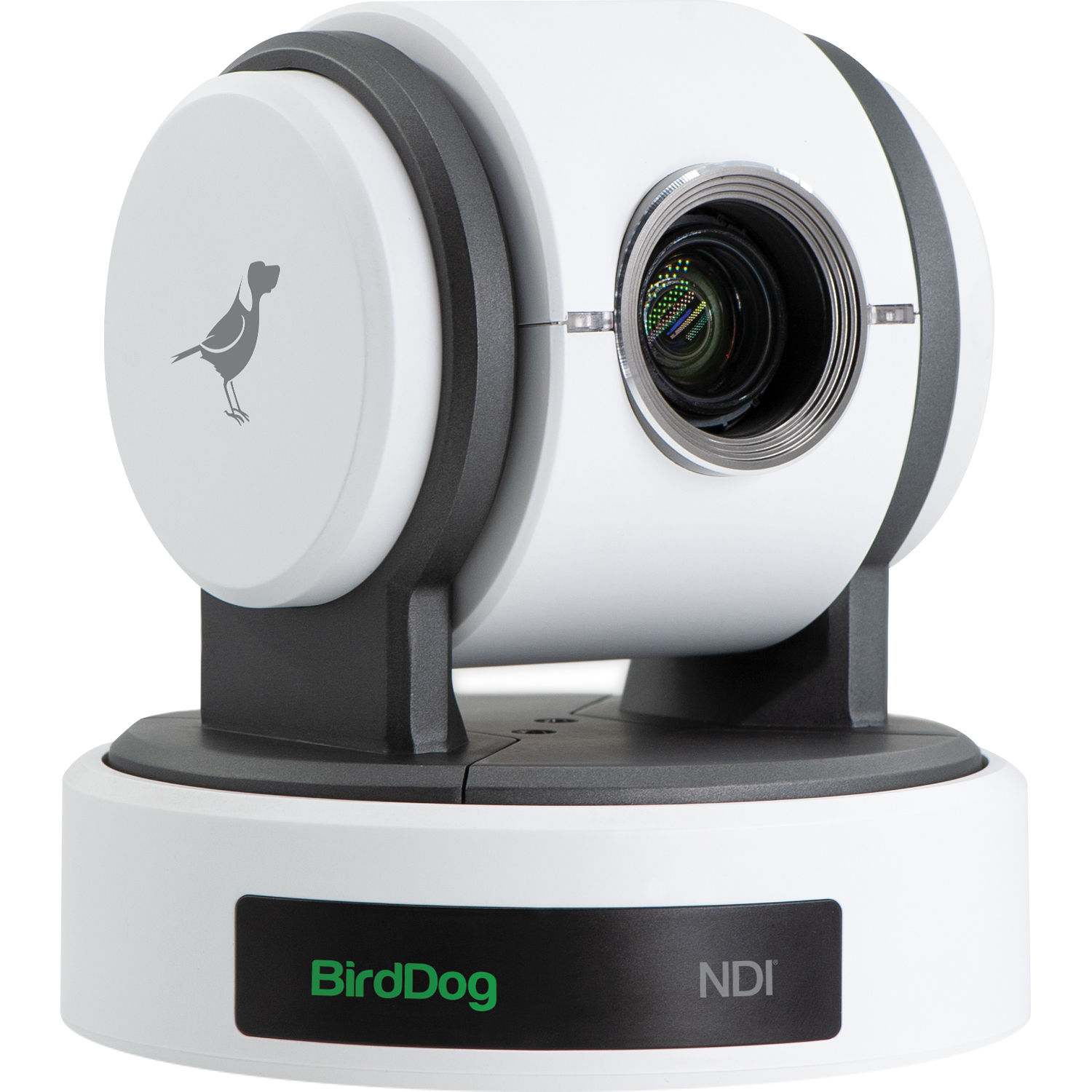 PTZ-камера BirdDog Eyes P100 White