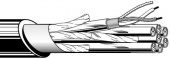 Провод симметричный - мультикор Canare DA202F-8P