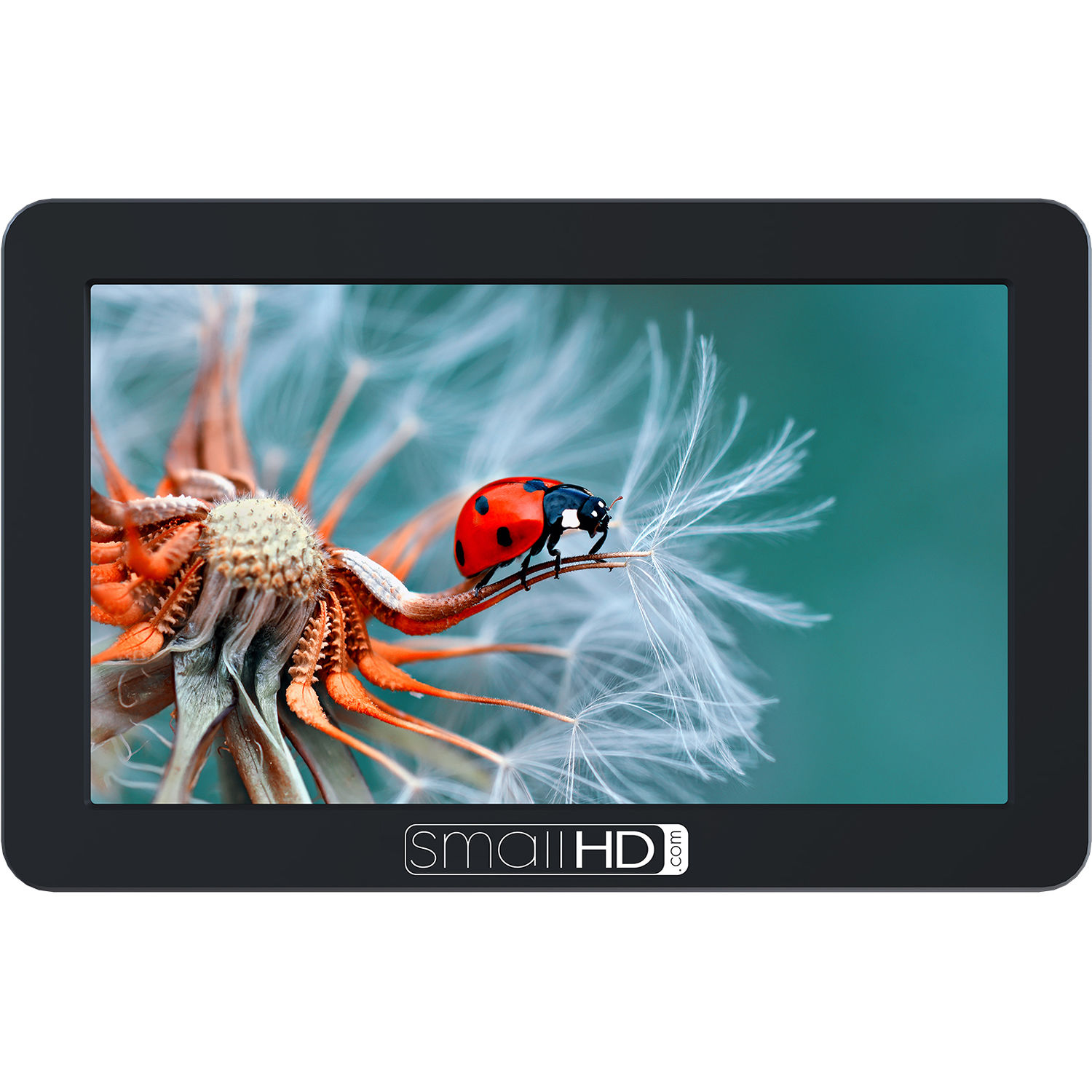 Накамерный монитор SmallHD Focus