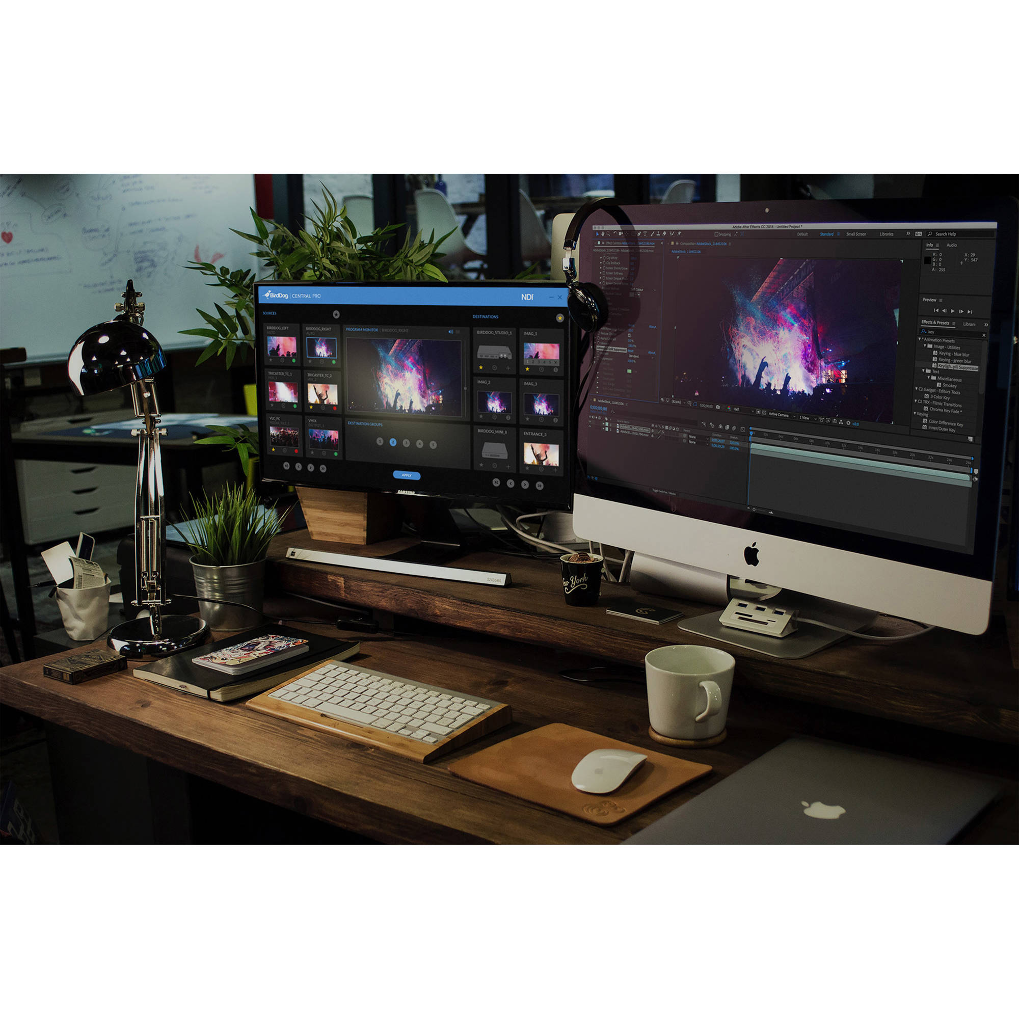 Программное обеспечение BirdDog Central PRO