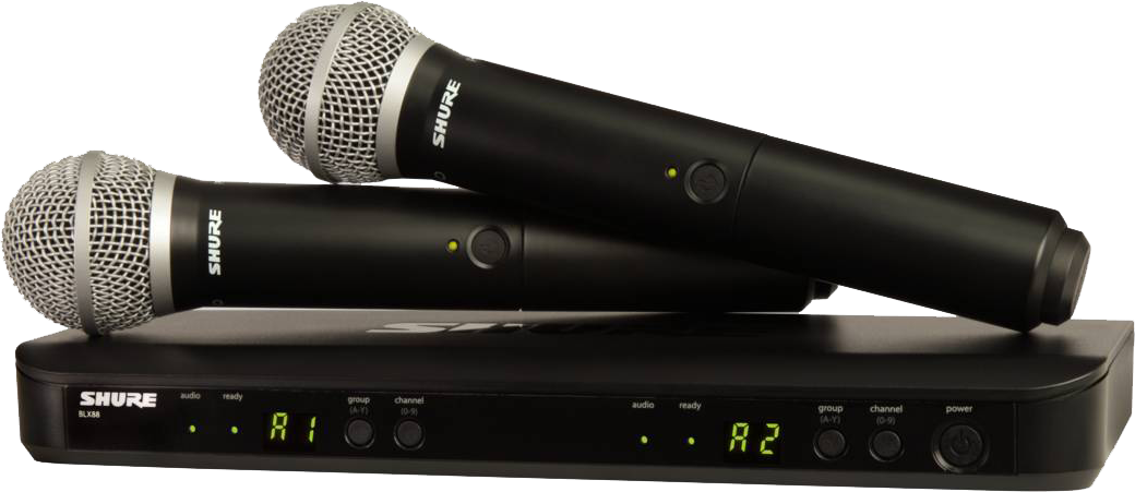 Двухканальная радиосистема Shure BLX288E/PG58 M17