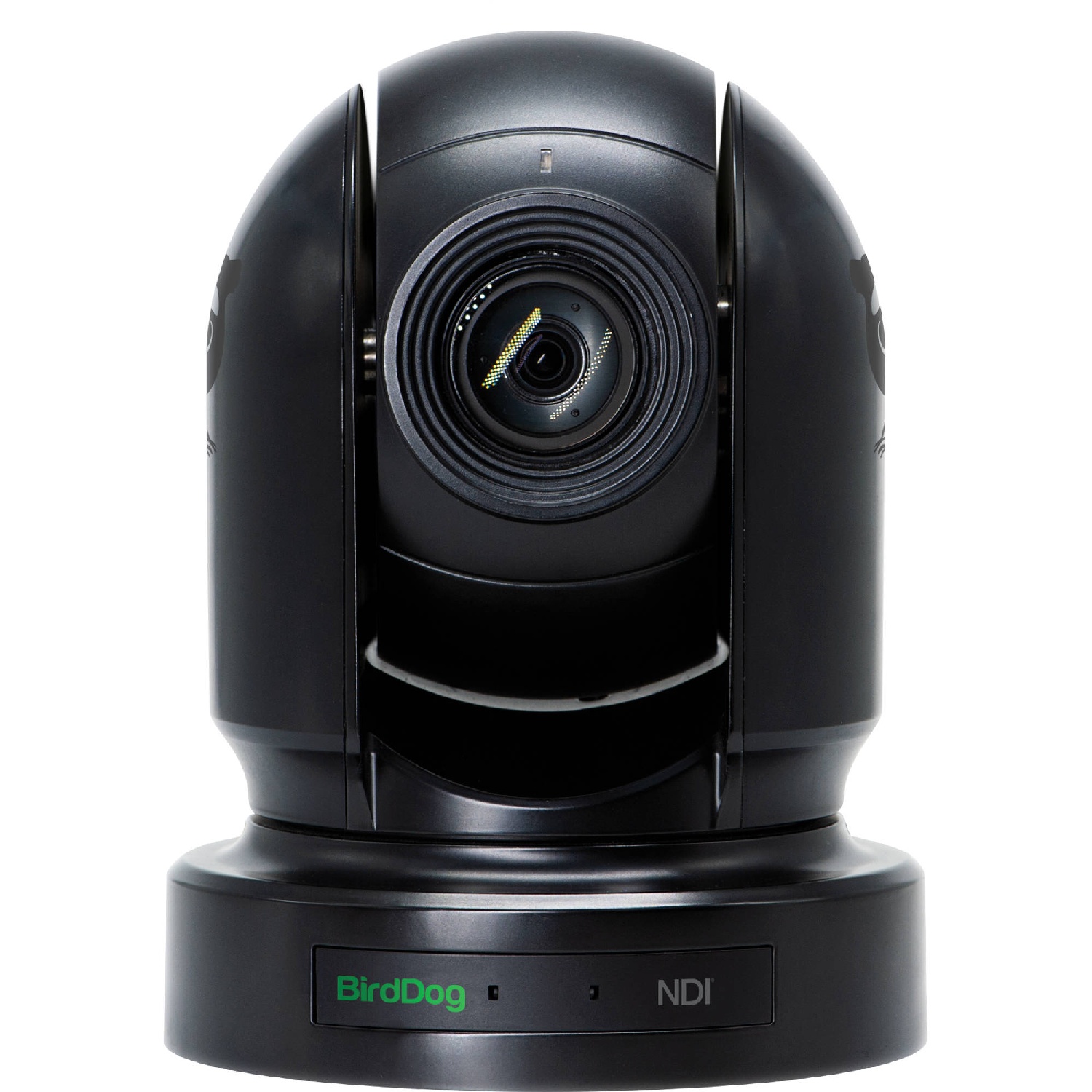 PTZ-камера BirdDog Eyes P200