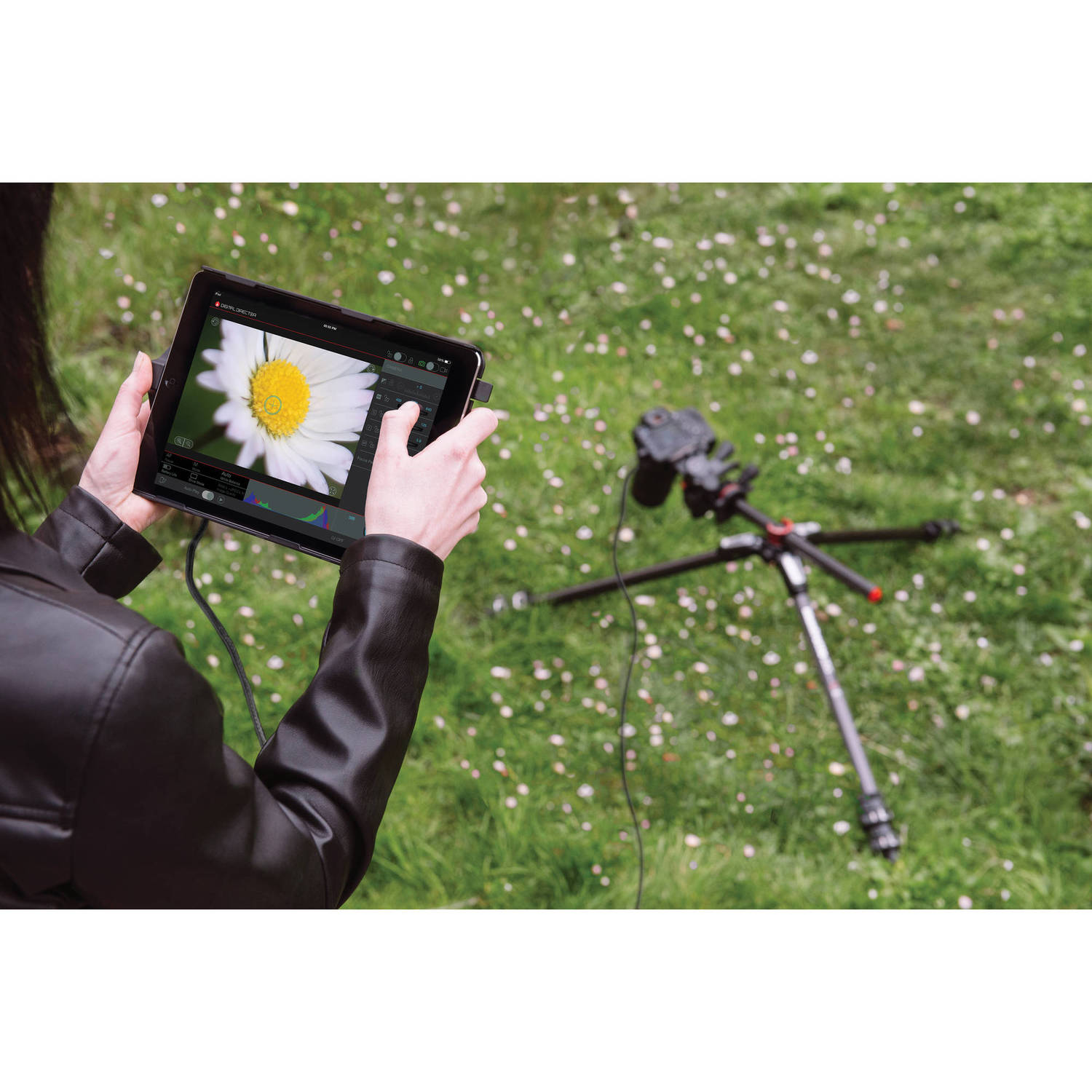 Консоль управления Manfrotto Digital Director